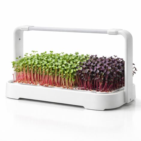 Indoor Hydroponic Growing System and LED Light for Microgreens Herbs - Smart Garden Germination Tray for Seed Starting Propagation